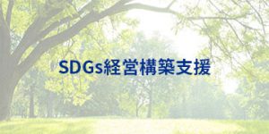 SDGs経営構築支援